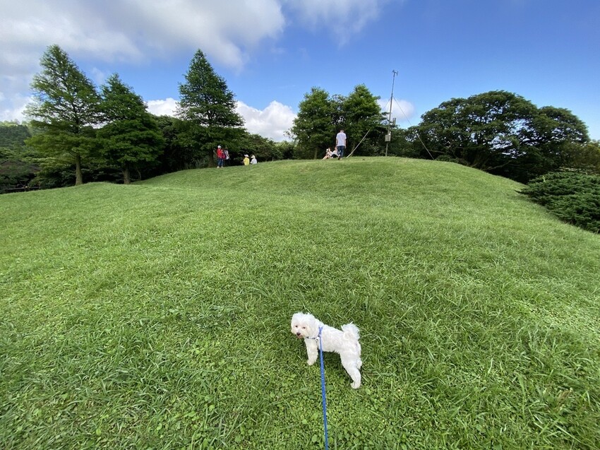 IMG_8302.JPG IMG_8302.JPG