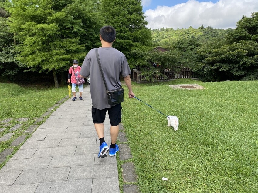 IMG_8306.JPG IMG_8306.JPG