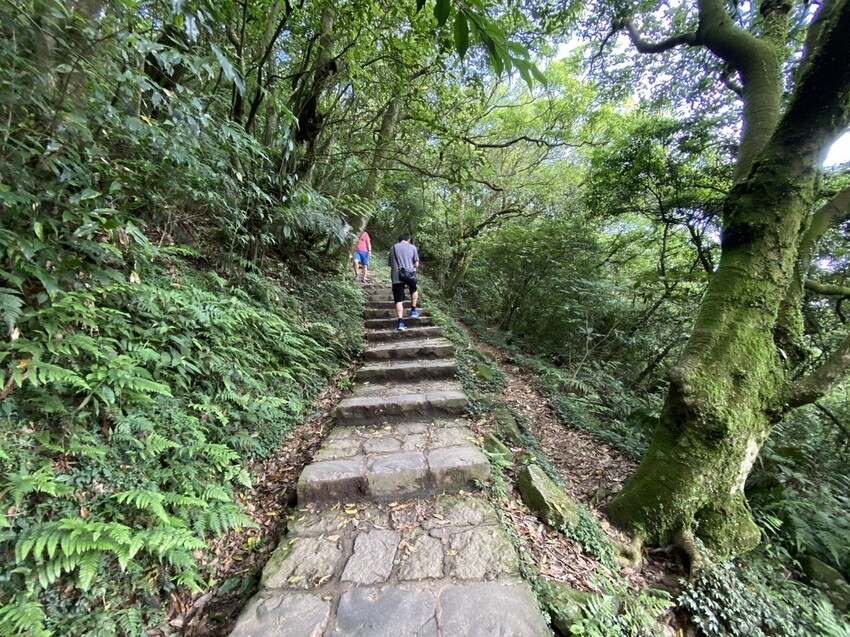 IMG_8327.JPG IMG_8327.JPG