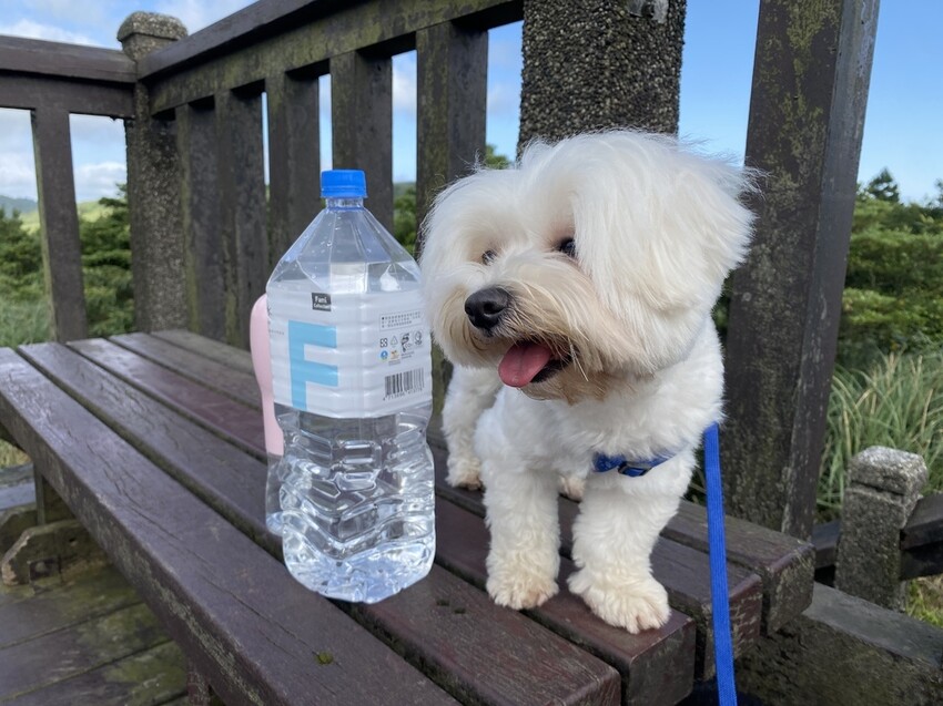 IMG_8334.JPG IMG_8334.JPG