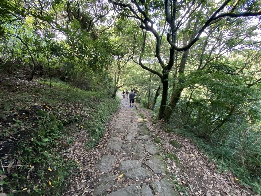 IMG_8341.JPG IMG_8341.JPG