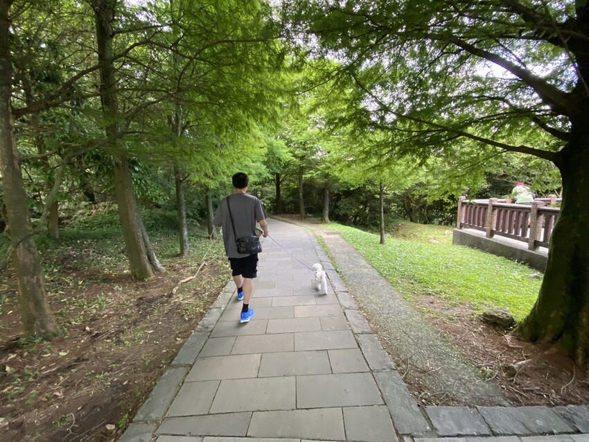 IMG_8308.JPG IMG_8308.JPG