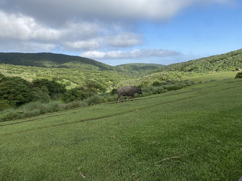 IMG_8389.JPG IMG_8389.JPG