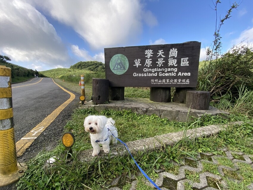 IMG_8394.JPG IMG_8394.JPG