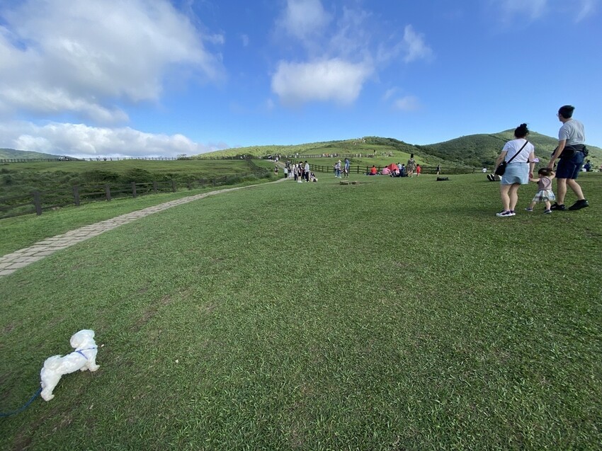 IMG_8349.JPG IMG_8349.JPG