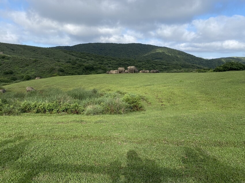 IMG_8377.JPG IMG_8377.JPG