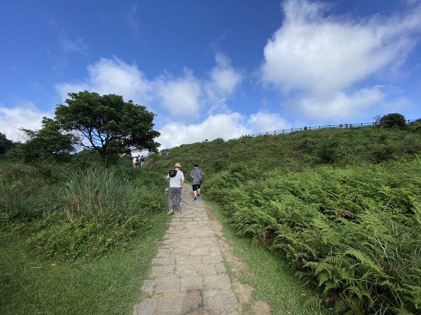 IMG_8346.JPG IMG_8346.JPG