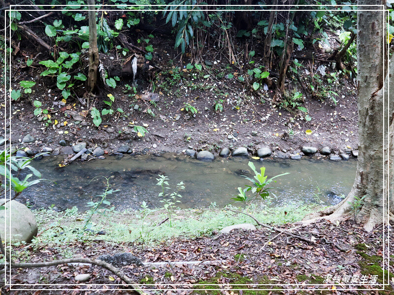 鶯歌陶瓷博物館-不僅有夏日免費戲水!室內展館X戶外藝術園區~寓教於樂親子景點
