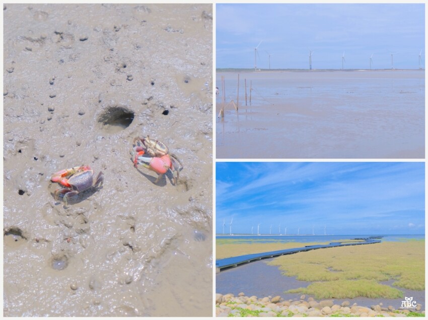 蟬說夕陽漫漫|台中豪華露營|高美濕地|清水區旅遊|親子露營免搭帳|暑假親子景點