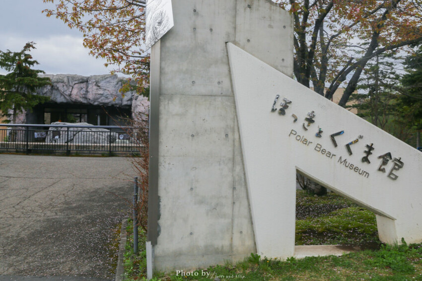 【北海道旭川】旭山動物園一日遊,門票、交通、餵食秀,尋找企鵝、北極熊、海豹吧!