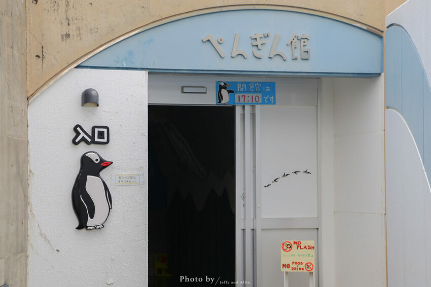 【北海道旭川】旭山動物園一日遊,門票、交通、餵食秀,尋找企鵝、北極熊、海豹吧!