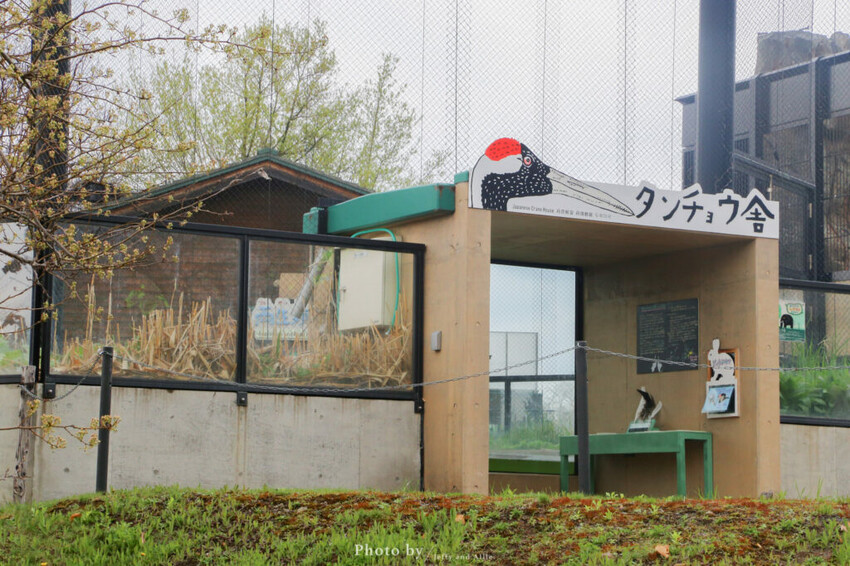 【北海道旭川】旭山動物園一日遊,門票、交通、餵食秀,尋找企鵝、北極熊、海豹吧!