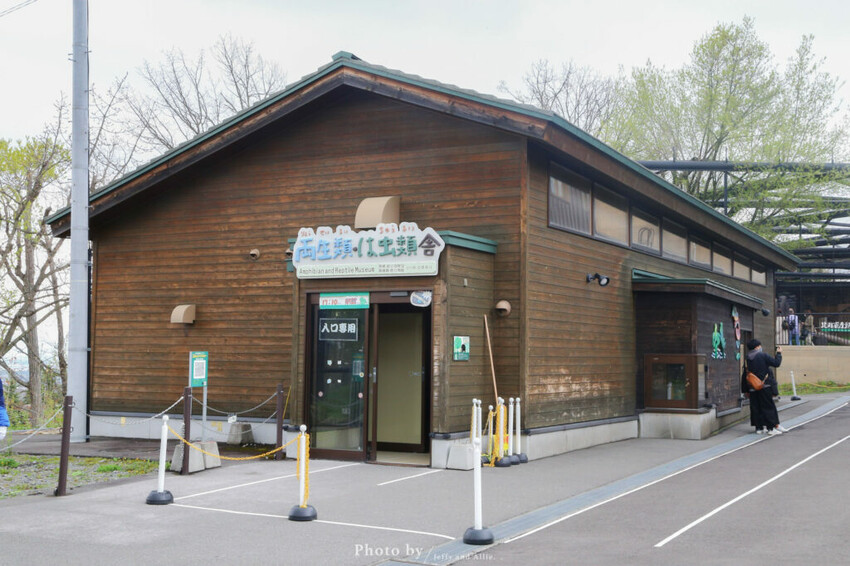 【北海道旭川】旭山動物園一日遊,門票、交通、餵食秀,尋找企鵝、北極熊、海豹吧!