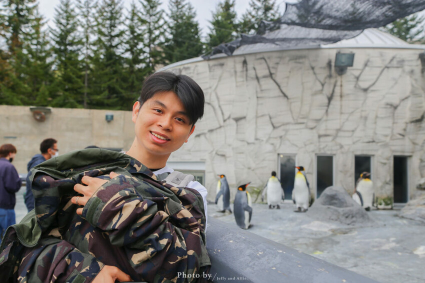 【北海道旭川】旭山動物園一日遊,門票、交通、餵食秀,尋找企鵝、北極熊、海豹吧!