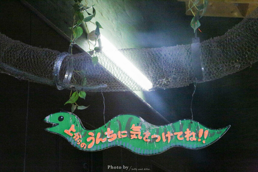 【北海道旭川】旭山動物園一日遊,門票、交通、餵食秀,尋找企鵝、北極熊、海豹吧!