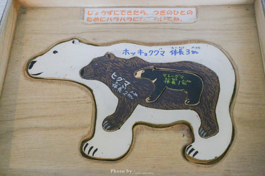 【北海道旭川】旭山動物園一日遊,門票、交通、餵食秀,尋找企鵝、北極熊、海豹吧!