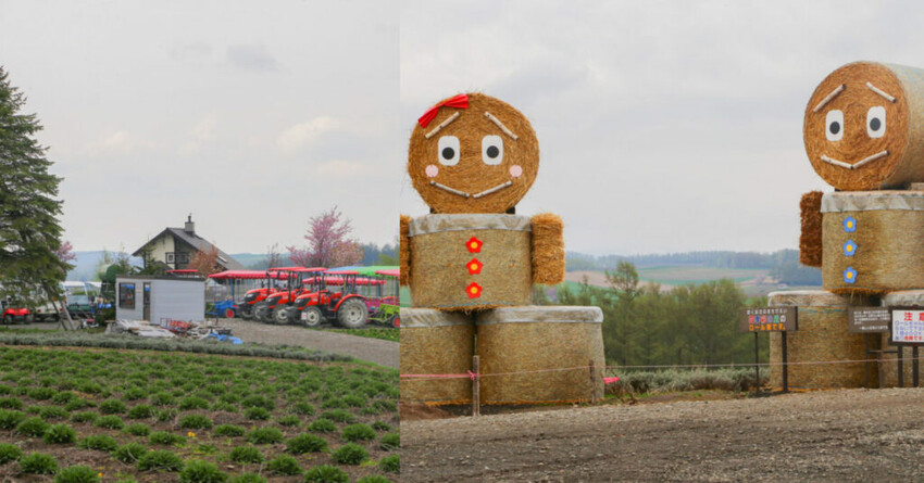 【函館景點】舊函館公民會所，融合西洋與日式風格，走訪元町歷史建築！