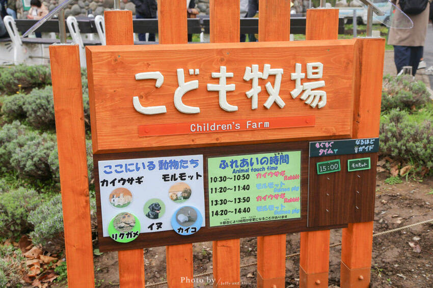 【北海道旭川】旭山動物園一日遊,門票、交通、餵食秀,尋找企鵝、北極熊、海豹吧!