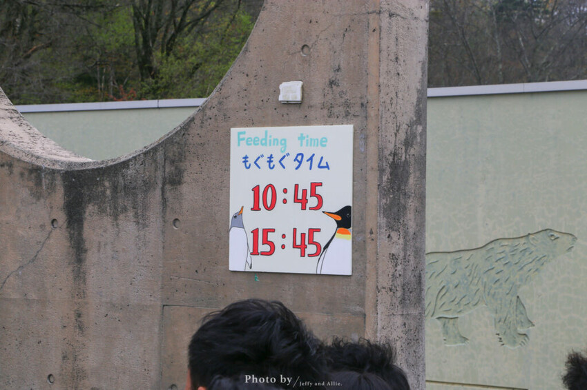 【北海道旭川】旭山動物園一日遊,門票、交通、餵食秀,尋找企鵝、北極熊、海豹吧!