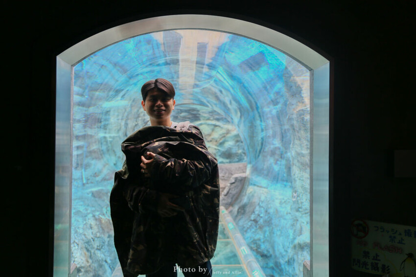 【北海道旭川】旭山動物園一日遊,門票、交通、餵食秀,尋找企鵝、北極熊、海豹吧!