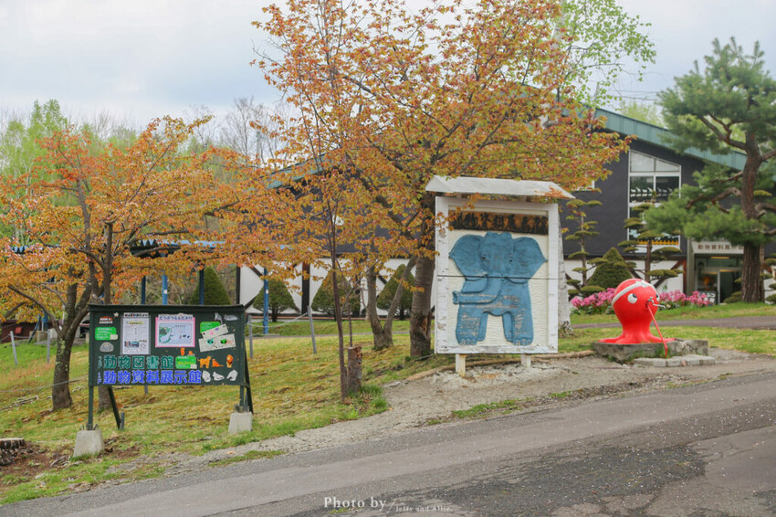 【北海道旭川】旭山動物園一日遊,門票、交通、餵食秀,尋找企鵝、北極熊、海豹吧!