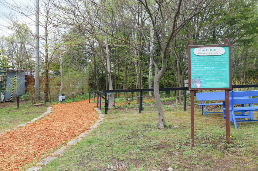 【北海道旭川】旭山動物園一日遊,門票、交通、餵食秀,尋找企鵝、北極熊、海豹吧!