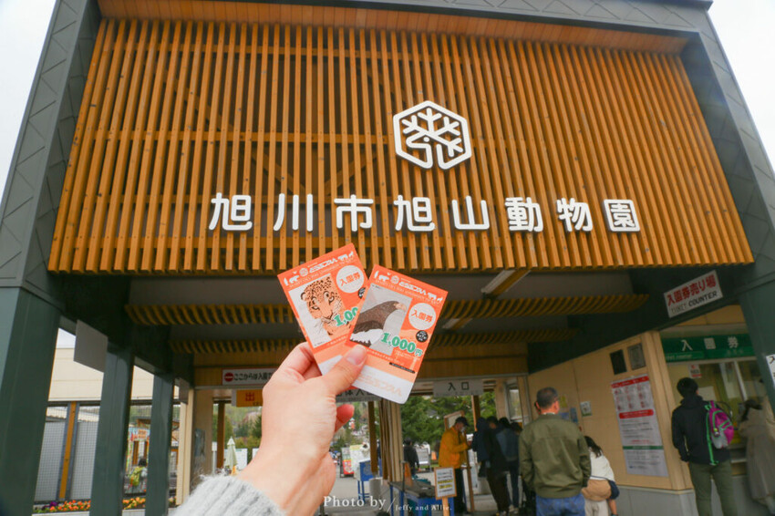 【北海道旭川】旭山動物園一日遊,門票、交通、餵食秀,尋找企鵝、北極熊、海豹吧!