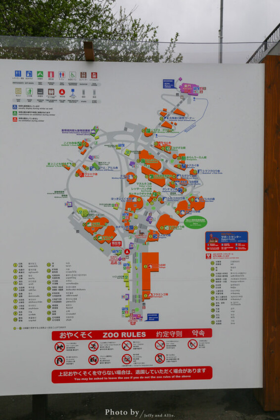 【北海道旭川】旭山動物園一日遊,門票、交通、餵食秀,尋找企鵝、北極熊、海豹吧!