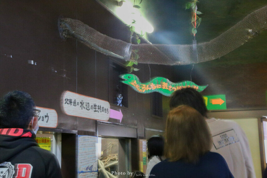 【北海道旭川】旭山動物園一日遊,門票、交通、餵食秀,尋找企鵝、北極熊、海豹吧!