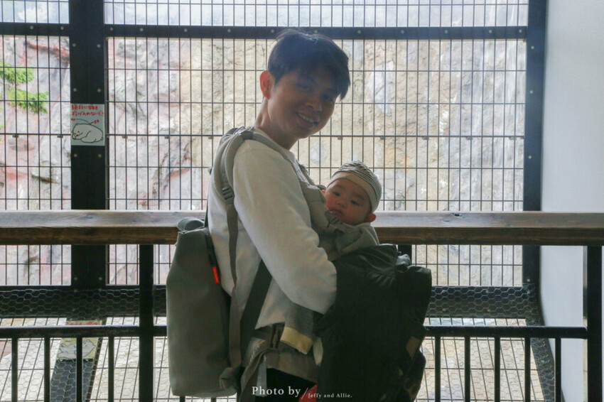 【北海道旭川】旭山動物園一日遊,門票、交通、餵食秀,尋找企鵝、北極熊、海豹吧!