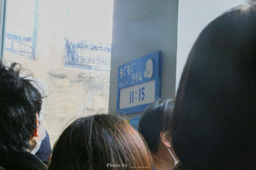 【北海道旭川】旭山動物園一日遊,門票、交通、餵食秀,尋找企鵝、北極熊、海豹吧!