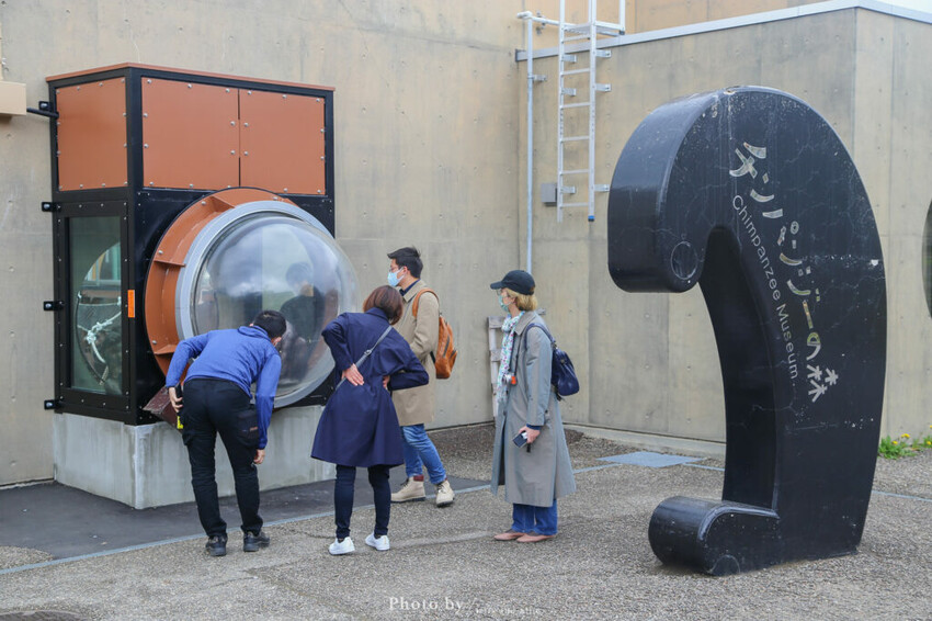 【北海道旭川】旭山動物園一日遊,門票、交通、餵食秀,尋找企鵝、北極熊、海豹吧!