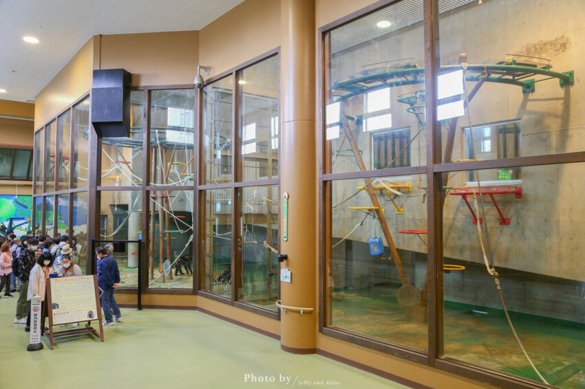 【北海道旭川】旭山動物園一日遊,門票、交通、餵食秀,尋找企鵝、北極熊、海豹吧!