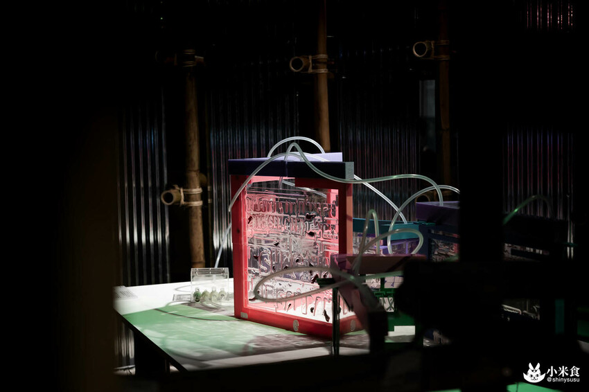 浪漫台三線藝術季｜Falabidbog～花啦嗶啵个客庄｜浪漫公路情。踏上客庄尋跡｜暑期旅遊｜台灣夏日輕旅行 - 小米食