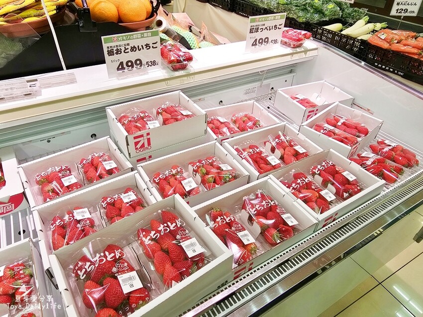 OGINO 河口湖店｜河口湖在地超市超好逛 . 蔬菜 水果 熟食 肉品 零食 酒水等通通都有 🌱豆芽出國趣日