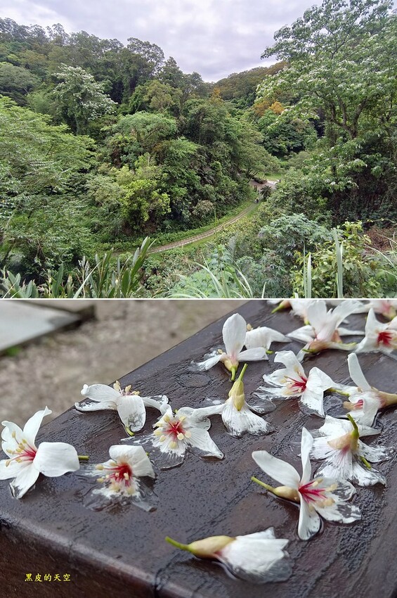 2023 0507苗栗三義勝興車站004