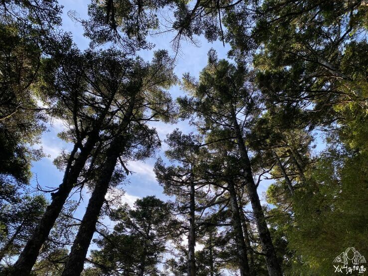 大霸尖山完整攻略｜此生必訪絕美聖山！大小霸難度、行程、GPX