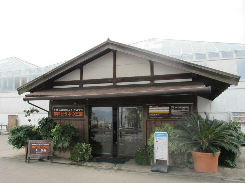 【2024年神戶自由行】最新旅遊景點特集! 搭神戶船只要500日幣! 人氣甜點店、吃爆神戶牛、打卡BE KOBE