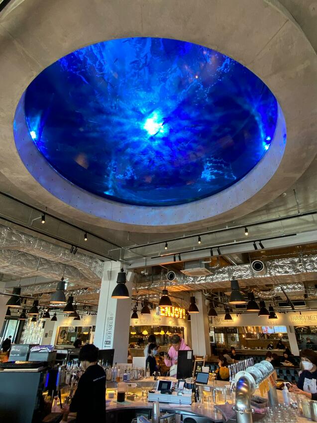 【2024年神戶自由行】最新旅遊景點特集! 搭神戶船只要500日幣! 人氣甜點店、吃爆神戶牛、打卡BE KOBE