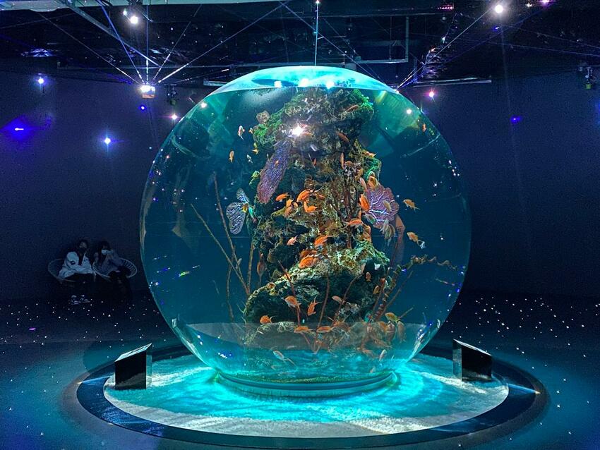 【2024年神戶自由行】最新旅遊景點特集! 搭神戶船只要500日幣! 人氣甜點店、吃爆神戶牛、打卡BE KOBE