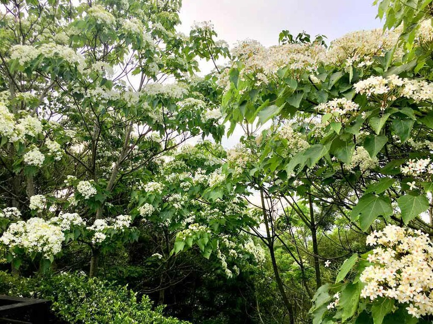 臺灣客家文化館（好客公園）