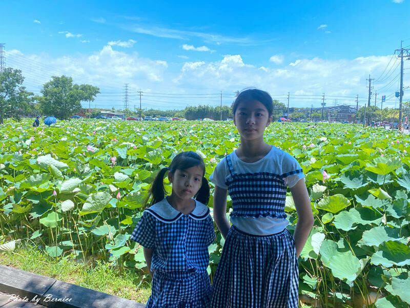 2023桃園蓮花季-與你蓮線~花田範圍超大怎麼拍怎麼美 @Bernice的隨手筆記