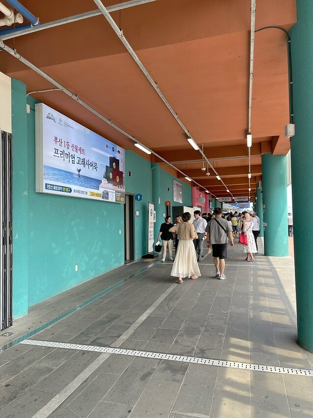 ◎【(釜山必玩) 海雲台 Blueline Park 天空膠囊、海濱列車】超熱門！假日一定要預約，否則坐不到！