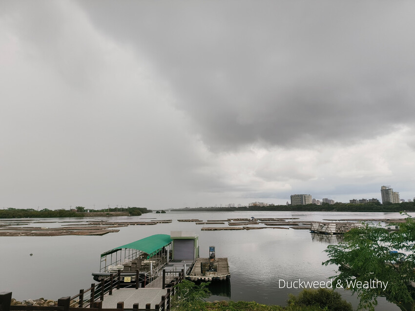 【台南景點】台江四草海堤「台江阿嬤」∣漂流木藝術地景創作∣「吾海吾江」台江最熱門的打卡景點∣