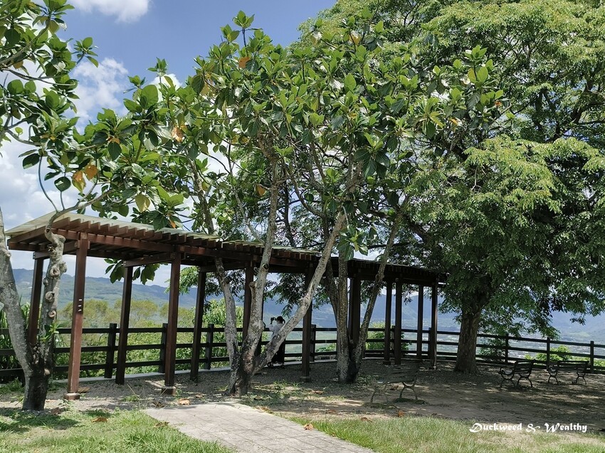 【台南旅遊美食】玉井一日遊美食旅遊推薦|享受美食探訪歷史文化景點|