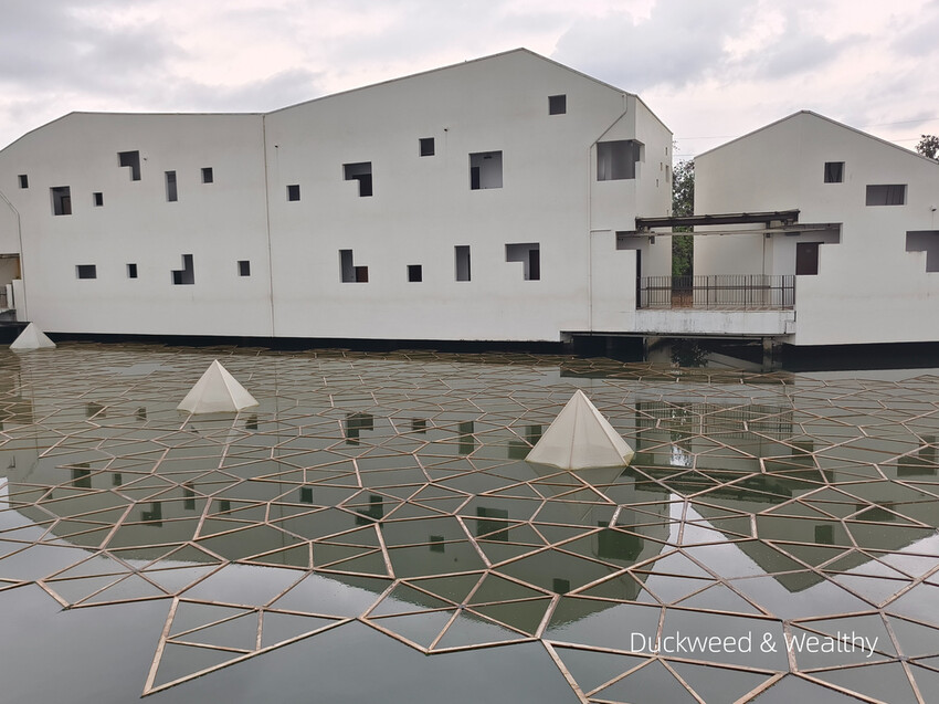 【台南景點】台江四草海堤「台江阿嬤」∣漂流木藝術地景創作∣「吾海吾江」台江最熱門的打卡景點∣