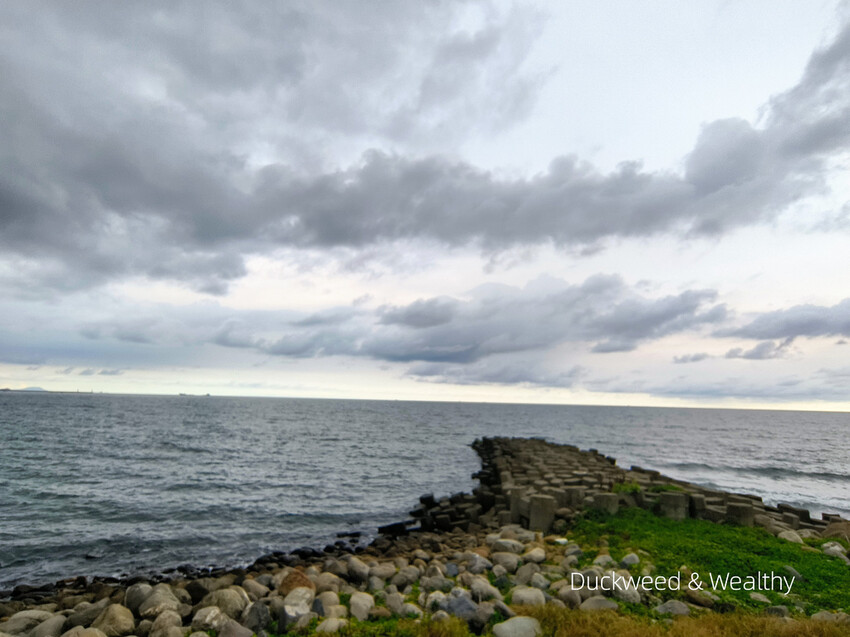 【台南景點】台江四草海堤「台江阿嬤」∣漂流木藝術地景創作∣「吾海吾江」台江最熱門的打卡景點∣