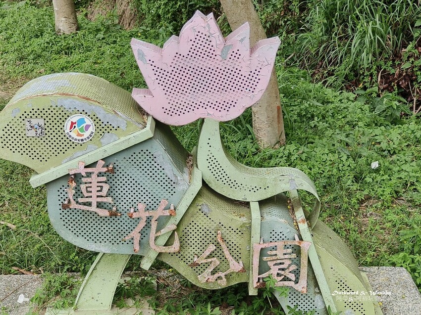 【台南白河景點】「白河蓮花公園」夏日賞荷最佳地點∣沉浸在隨風搖曳粉嫩的花海中∣