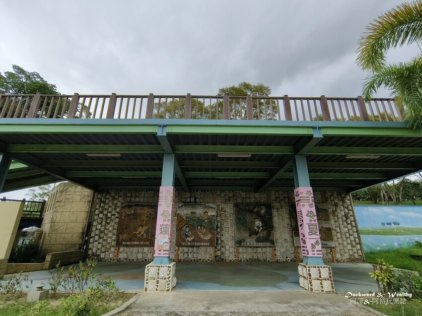 【台南白河景點】「白河蓮花公園」夏日賞荷最佳地點∣沉浸在隨風搖曳粉嫩的花海中∣