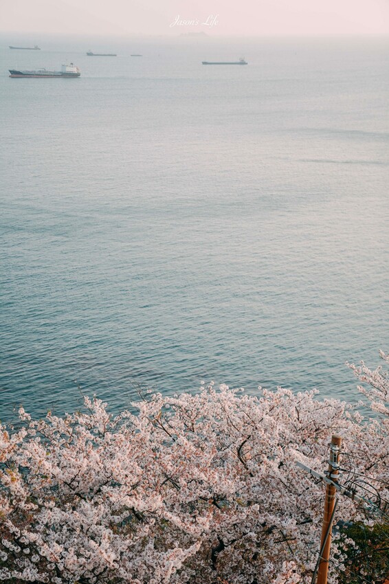 【韓國釜山｜景點】白淺灘文化村(흰여울문화마을)。影島必去景點，無數間海景咖啡廳，欣賞夕陽的約會散步景